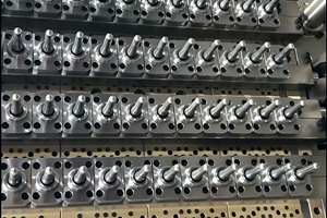 多型腔PET材质瓶坯模具定制制造工厂