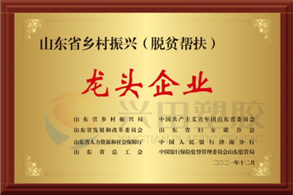 山东省2021年度省级乡村振兴（脱贫帮扶）龙头企业